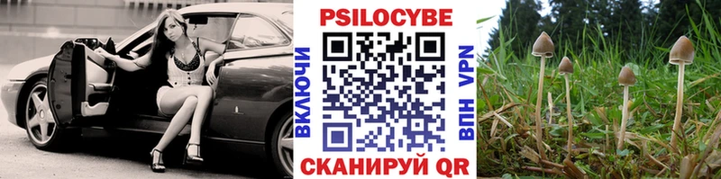 блэк спрут сайт  Володарск  Псилоцибиновые грибы Magic Shrooms 